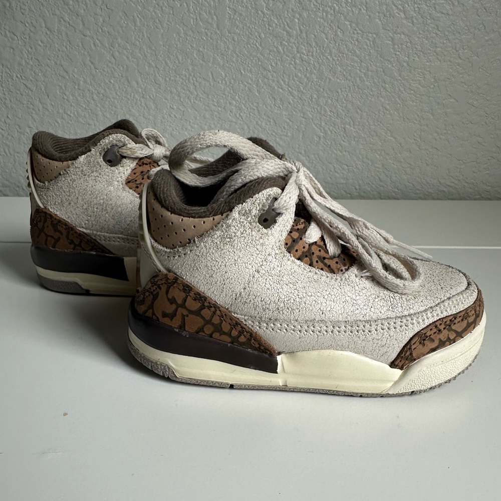 Jordan 3 Retro (5C)